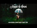 Lagu Nappi \u0026 insos - sisir bambu x mafia gang x nappy star