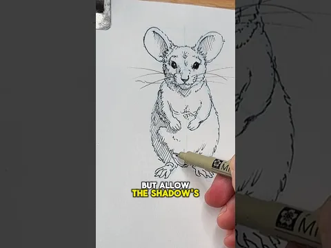 How to draw a mouse!