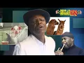 Wolves & Leopards Reggae Icons