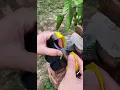 Download Lagu How to install rubber bands on a slingshot for beginners#shorts #slingshot #foryou #outdoor #diy