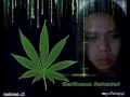 Download Lagu musik regge