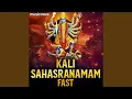 Download Lagu Kali Sahasranamam Fast