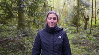 A Royal Anchorage In The Gulf Islands – Ep. 155 RAN Sailing