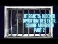 HT reacts Blocked Opportunities by Dr Claude Anderson part 2