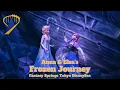 Download Lagu Anna and Elsa’s Frozen Journey from Fantasy Springs at Tokyo DisneySea