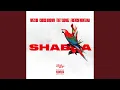 WizKid - Shabba (feat. Chris Brown, Trey Songz & French Montana)