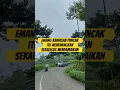 Download Lagu Yang bikin betah itu udaranya yang terasa bersih dan dingin 🥶      #trending #viralvideo #kebunteh