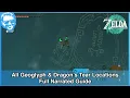 All Geoglyph Dragon s Tear Locations - Full Narrated Guide