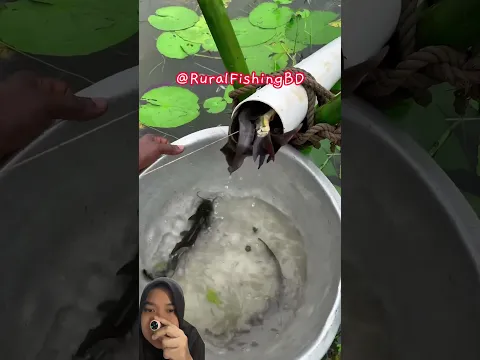 Kirain oom cuma dapat satu ikan‼️ @RuralFishingBD