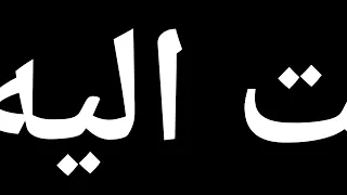 حلات وتس مهرجان ثانيه اخربلك   ام الدنيا          دندنها