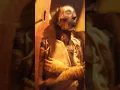 Download Lagu The face of firawn #shorts #egypt #mummy #muslim #documentary #story #islam #history #humor