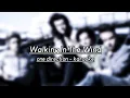 Download Lagu ONE DIRECTION KARAOKE - WALKING IN THE WIND