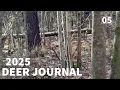 BIG BUCK OGEECHEE RIVER swamp BOTTOM Late RUT BOWHUNT Onx Maps SOUTHERN RUT MAP explained