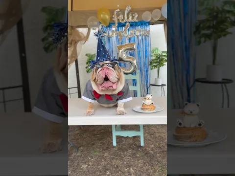 FELIZ CUMPLEAÑOS POLAR 🥳🎉🎂🎁