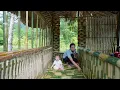 2 Years Living In The Forest - Single Mother Builds Bamboo House \u0026 Harvests Alone