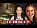 Teen s Dog Came HOME But SHE DIDN T Murder In a Small Town