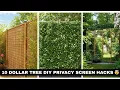 10 Dollar Tree DIY Privacy Screen Hacks That Transformed My Backyard