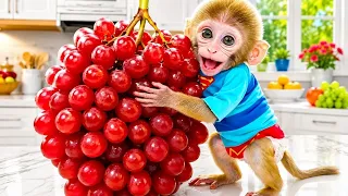 Monkey Baby Shark | Nursery Rhymes & Kids Songs |Bobby Kids Songs
