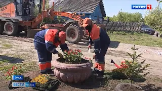 Под окнами фронтовиков зацветут цветы