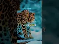 Download Lagu Tumhara sirf Waqt Aaya Hai Hamara Daur aayega