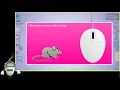 Using the Mouse Part 2 Computer Mouse Chapter 4 Class 1