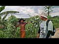 Jangan Nekat Kesini‼️Perkampungan Tengah Hutan Suku Jawa Indonesia,Hidup Sederhana Jauh Dari Kota