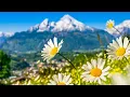 Download Lagu Switzerland  AMAZING Beautiful Nature with Soothing Relaxing Music, 4k Ultra HD by Tim Janis