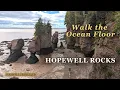 Hopewell Rocks the Bay of Fundy s Extraordinary Tides - New Brunswick Canada
