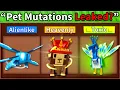 Download Lagu *ALL LEAKS* The Entire Pet Mutation Update Early.. (Grow a Garden)