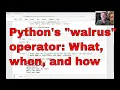 Python s assignment expression walrus operator What why and how