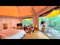 Download Lagu INTO THE WOODS Camping Ground by CHANAYA RESORT | Family Retreat