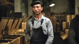                                                                    دندنها