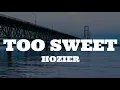 Download Lagu Hozier - Too Sweet (Lyrics)