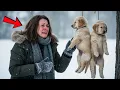 Download Lagu Lonely Woman Found Two Puppies in a Snowstorm—And Her Life Was Never the Same