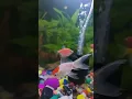 Download Lagu 🐠🤣funny fish 😜 😹 YouTube shortsviral  trick #viral #shorts #anayavideo #tricks #hindi #kuttakutta