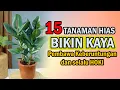 Download Lagu Wajib Punya Dirumah !! 15  Tanaman Hias Pembawa Rejeki \u0026 Keberuntungan