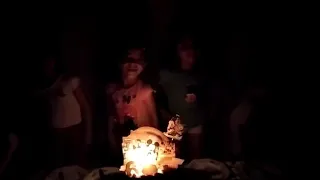 عيد ميلاد كتاكيت دمياط دندنها