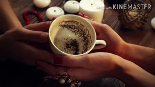 عبد الحليم حافظ قارئة الفنجان مقطع ستفتش عنها يا ولدي 