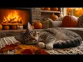 Download Lagu Music fors Cats 🐈 Anxiety Relief Music For Cats And cat relaxing music With Our Gentle piano music 🔥