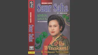 saur saha