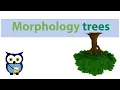 Morphology trees