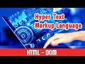 HTML Basics for Beginners What is HTML DOM HTML Document Object Working Need Part 07