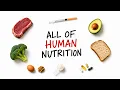 ALL OF NUTRITION SCIENCE in 13 Minutes No BS