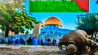 انشودة يارب المعين احمي الغزيين فريق غرباء للفن الإسلامي اجمل اناشيد           دندنها