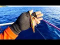 Download Lagu Hampir Dibawa Lari Kabur Ikan Joran Hemus Terra-X Dipaksa Main Extream Dikedalaman 80m || UL Jigging