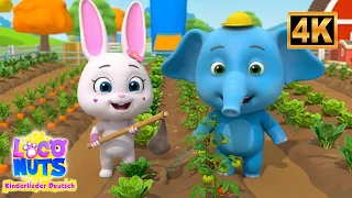 Old MacDonald Hatte eine Farm 🐄 | Kinderlieder & Lied für Kinder | E-I-E-I-O