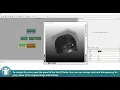 MeVisLab Tutorials - Visualization