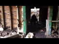 Demon Dog 2