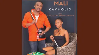 mali feat stevla zing master u0026 freddy k 