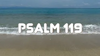 psalms 119 king james holy bible kjv 